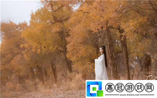 鏗鏘鏘鏘鏘免費觀看在線觀看：影視資源與觀看方法