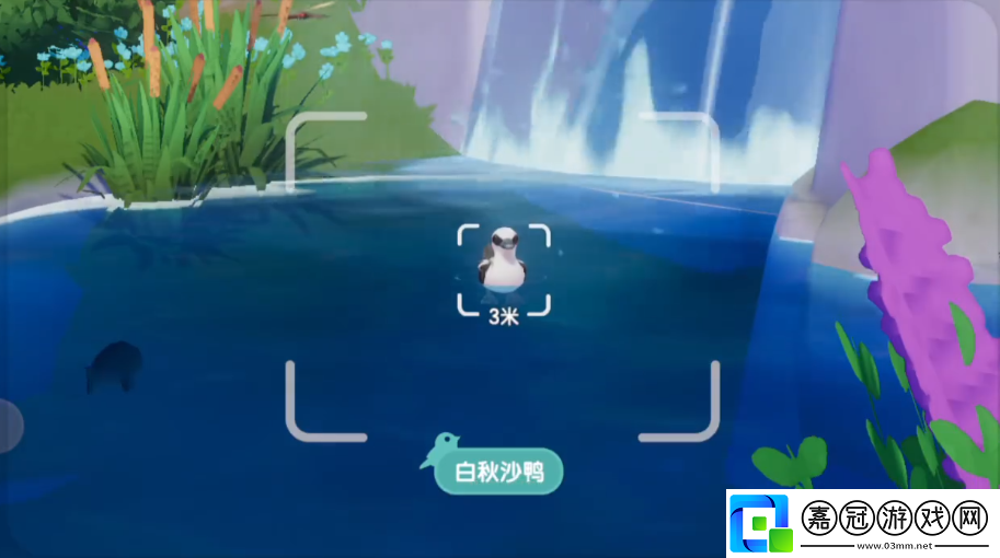 心動小鎮(zhèn)觀鳥技巧是什么