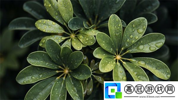 jmcomicron.mic網(wǎng)頁版入口ios：如何選擇和使用這兩種辣椒？