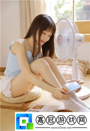 日本windowsserver:Window-Server系統在日本的應用