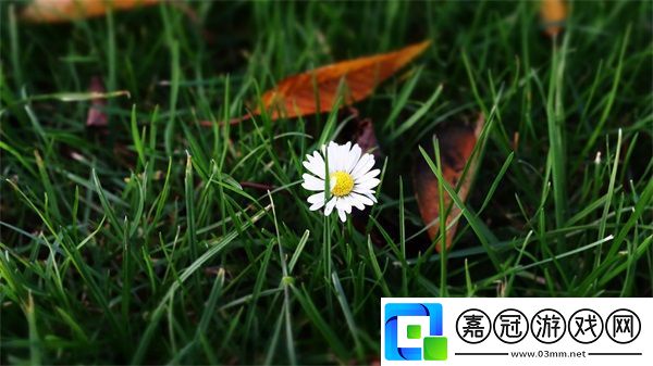 成品游戲網站入口ios：真誠熱情的歡迎方式