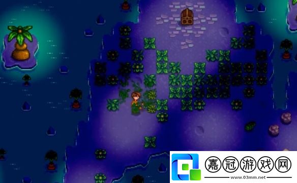 星露谷物語女巫小屋怎么進去