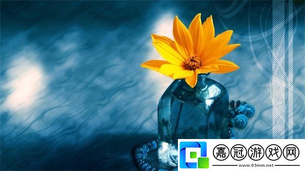 嗯啊哼給我求你了：平臺(tái)特點(diǎn)及如何收看直播