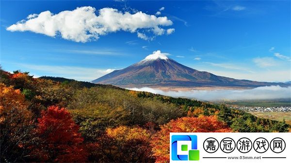 每天早上上陳總辦公室吃早餐：工作與生活的美好結(jié)合