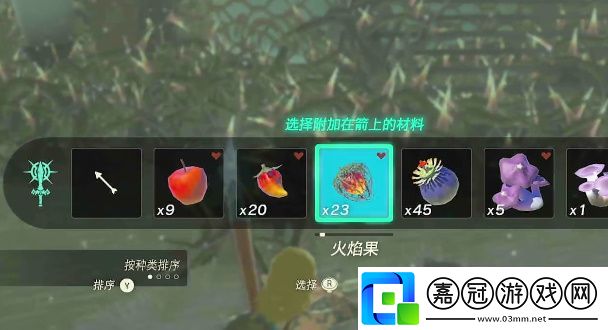 塞爾達(dá)卡爾加嶺鳥望臺(tái)怎么開