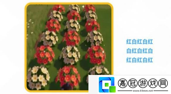 心動小鎮花卉怎么雜交