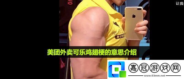 美團外賣可樂雞翅是什么梗