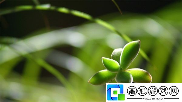 滿18點此安全轉入2024：迎接新的希望與挑戰