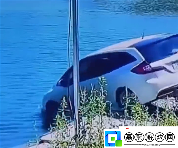 爸爸忘拉手剎倆孩子隨車沖進(jìn)魚塘：萬(wàn)幸救援及時(shí)