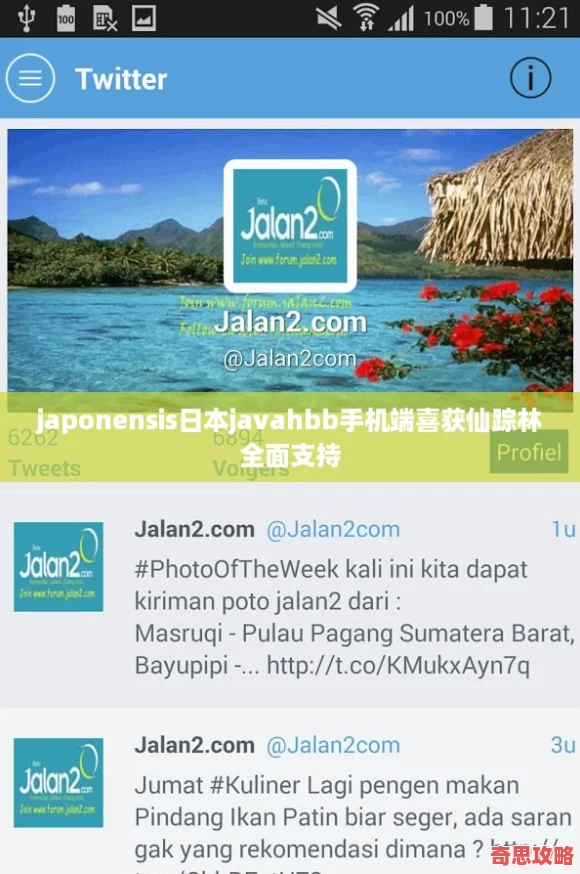 japonensis日本javahbb手機端喜獲仙蹤林全面支持