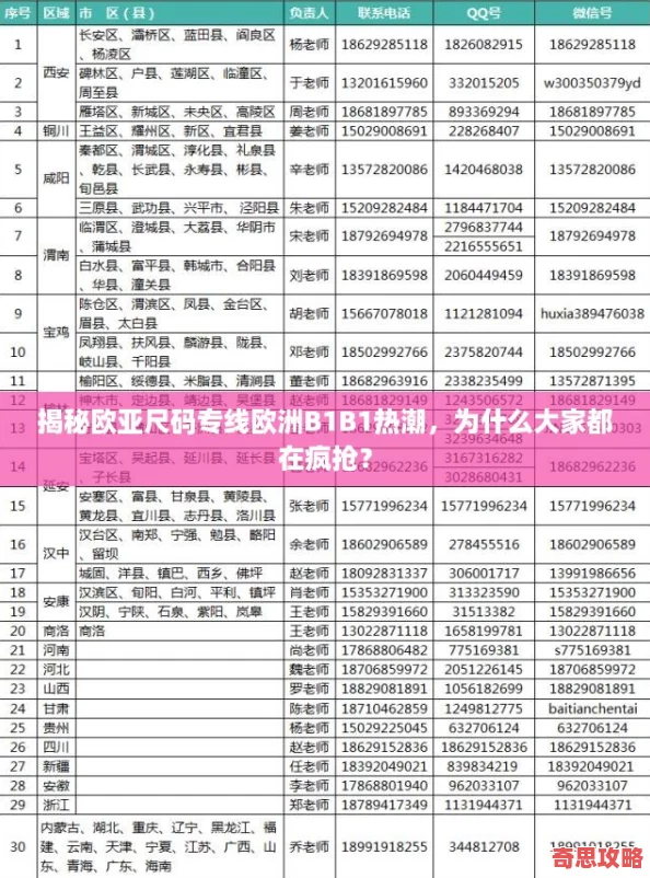 揭秘歐亞尺碼專線歐洲B1B1熱潮為什么大家都在瘋搶