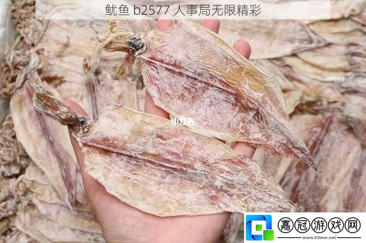魷魚 b2577 人事局無限精彩 