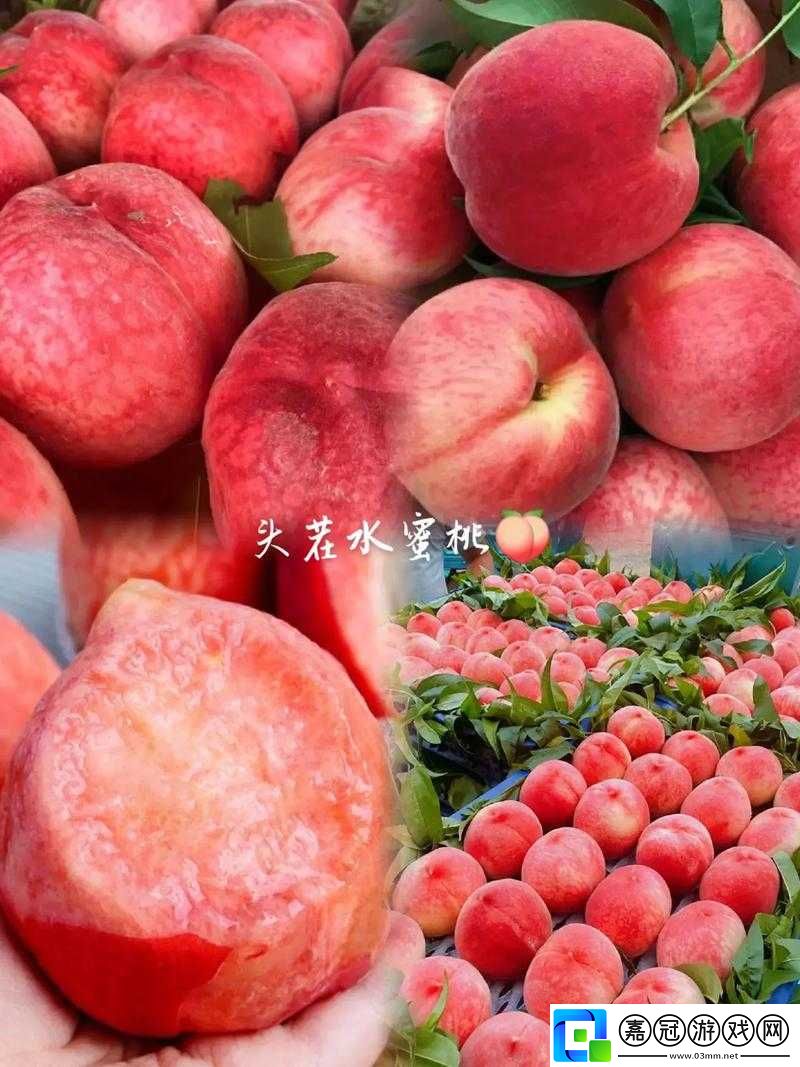 巨無霸水蜜桃-2：甜蜜多汁的水果王者
