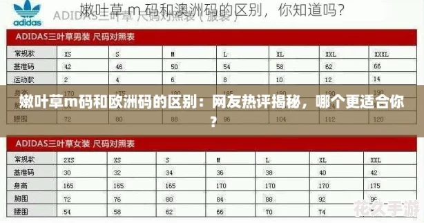 嫩葉草m碼和歐洲碼的區(qū)別：友熱評揭秘-哪個更適合你