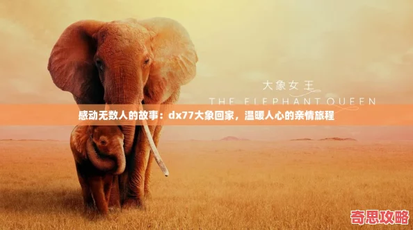 感動無數人的故事：dx77大象回家溫暖人心的親情旅程