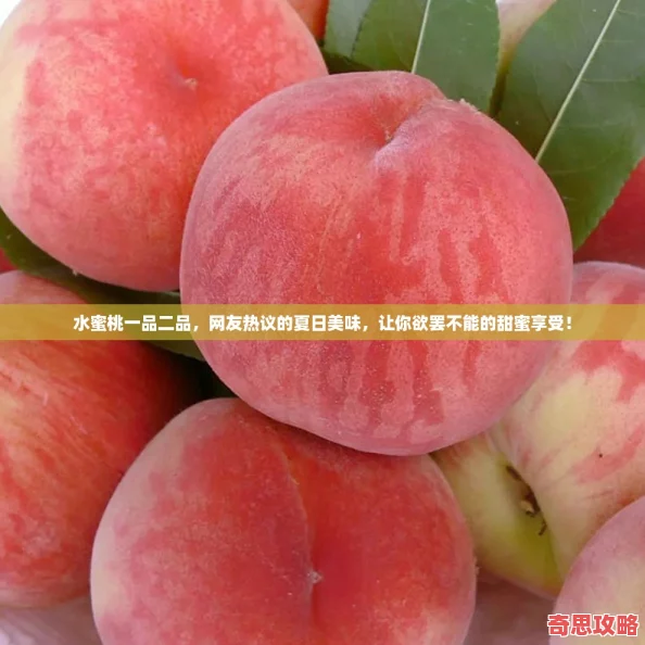 水蜜桃一品二品友熱議的夏日美味讓你欲罷不能的甜蜜享受！