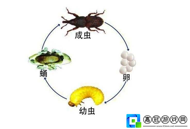 水拉絲了小東西怎么辦：教你幾招輕松應對