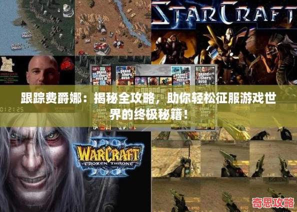 跟蹤費(fèi)爵娜：揭秘全攻略助你輕松征服游戲世界的終極秘籍！