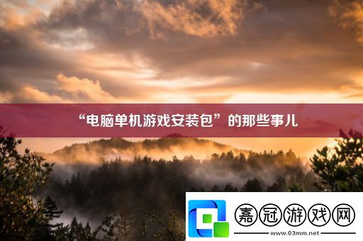 “電腦單機游戲安裝包”的那些事兒