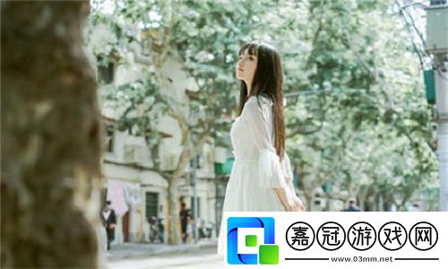免費網站在線觀看人數在哪買