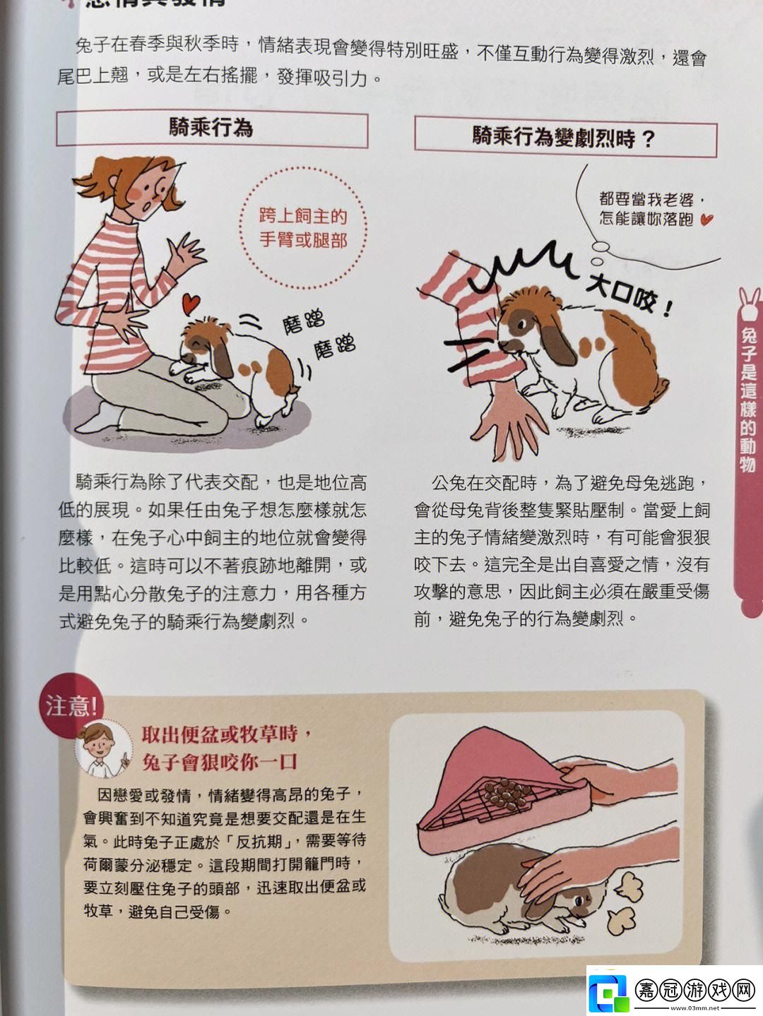 “咬兔兔潮流尖端笑談游戲界的另類風(fēng)情！”