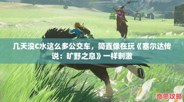 幾天沒C水這么多公交車簡直像在玩塞爾達傳說：曠野之息一樣刺激
