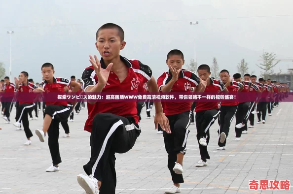 探索ワンピース的魅力：超高畫質WWW免費高清視頻軟件帶你領略不一樣的視聽盛宴！