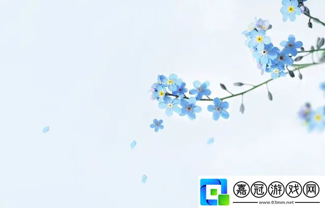 如何利用2023年amazon歐洲站提升你的銷售業(yè)績