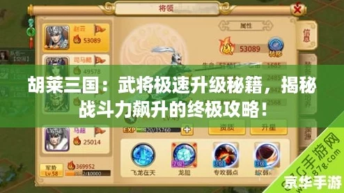 胡萊三國：武將極速升級秘籍揭秘戰斗力飆升的終極攻略！