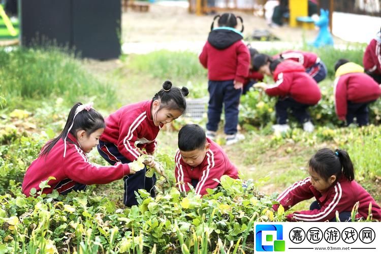 “拔蘿卜”鬧劇