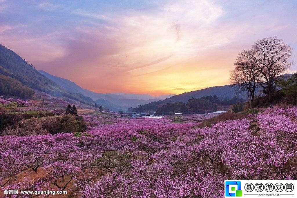 母桃花源