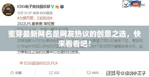 蜜芽最新名是友熱議的創(chuàng)意之選快來看看吧！