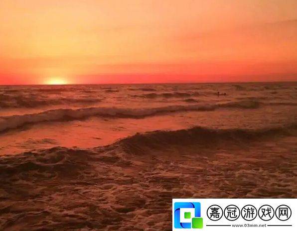 關(guān)于精華液一區(qū)二區(qū)區(qū)別的詳細(xì)分析與推薦