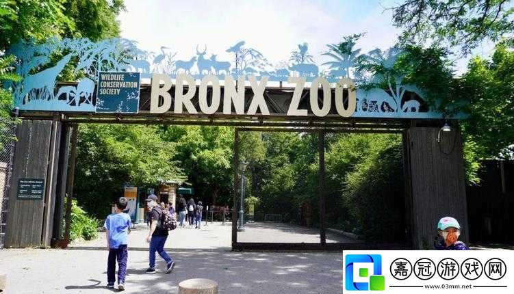 美國-ZOOZOON：探索動(dòng)物世界的奇妙之旅