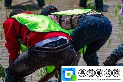 外國情侶插秧“神操作”：顛覆想象農田也瘋狂！
