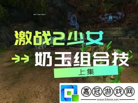 “激戰2奶玉”之謎