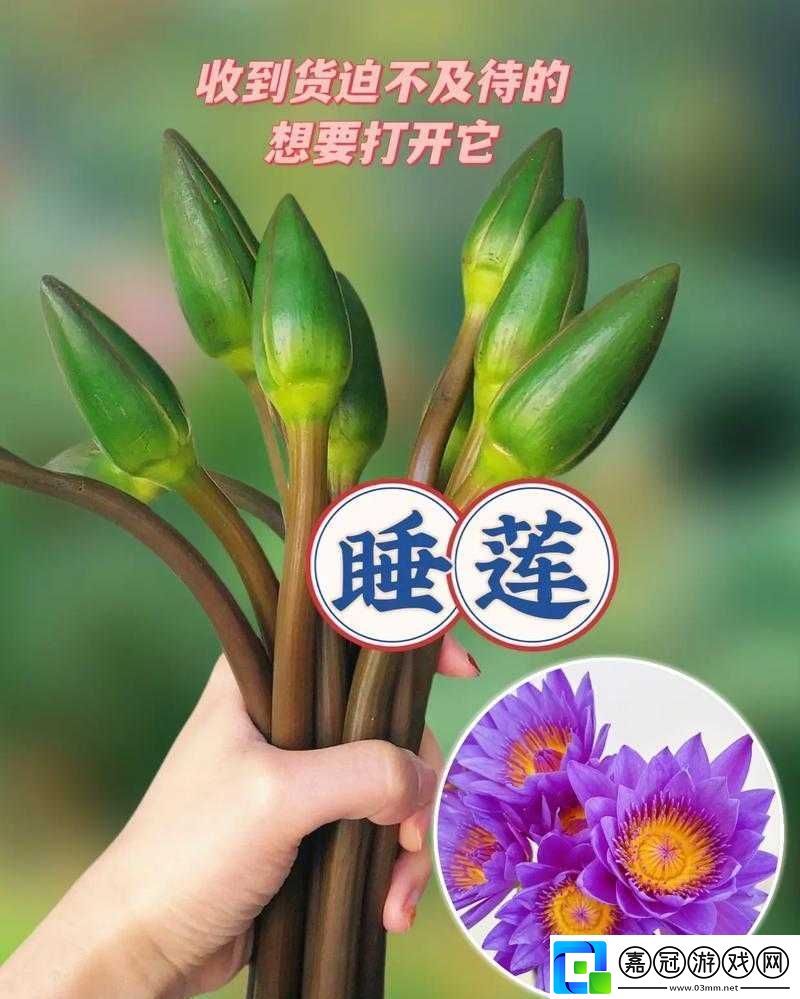 女性半夜蓮花開放的治療方法