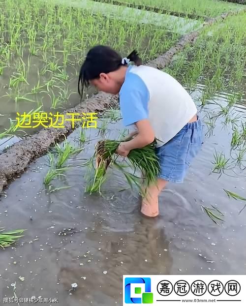 耕女傳奇