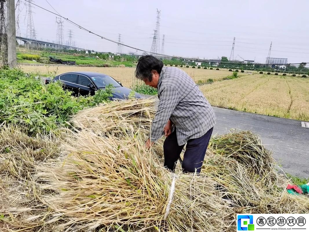 “子耕母田”的戲碼：科技圈的荒誕喜劇