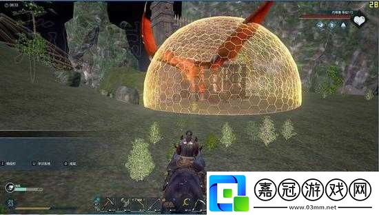 黑暗與光明馴養動物觀看渠道
