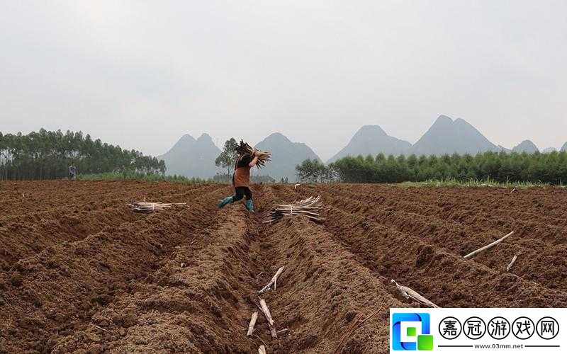 耕種姐姐肥沃土地的別樣體驗