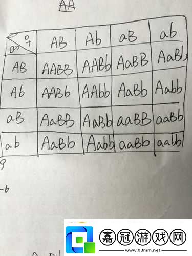 AABB與AAAA的區別據說能找到齊全的視頻資源：探索真相