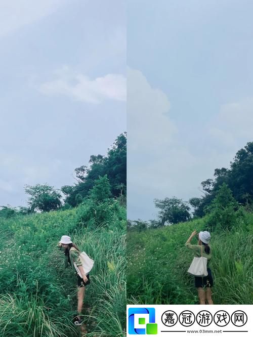 "羞草路徑-時尚弄潮兒-笑談！