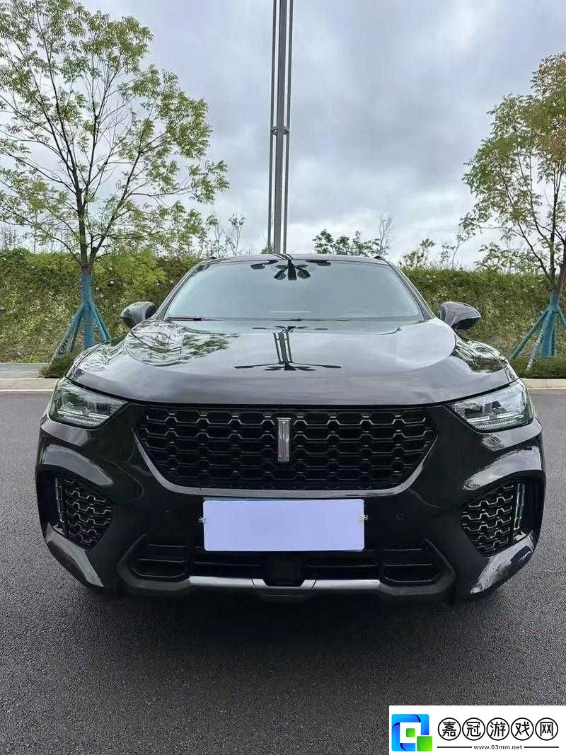 WeyVV5-國產的-SUV：暢享舒適駕乘體驗