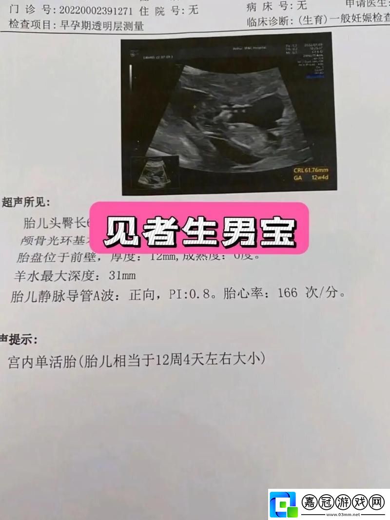 胎頭純生嘶啞難產(chǎn)文:一場(chǎng)科技江湖的狂歡還是群體的智慧