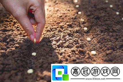 耕姐姐沃土
