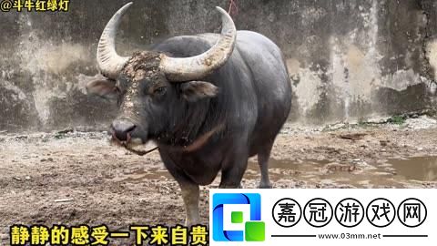 “小皇帝”科技狂想曲