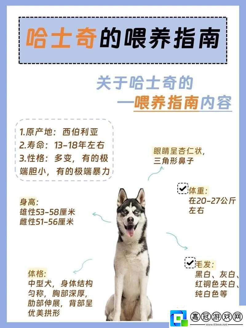 人狗膠配方大全狗狗使用：科學(xué)喂養(yǎng)-健康成長