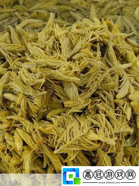 西施被焯出白水怎么辦西施焯水后的風味再造秘籍