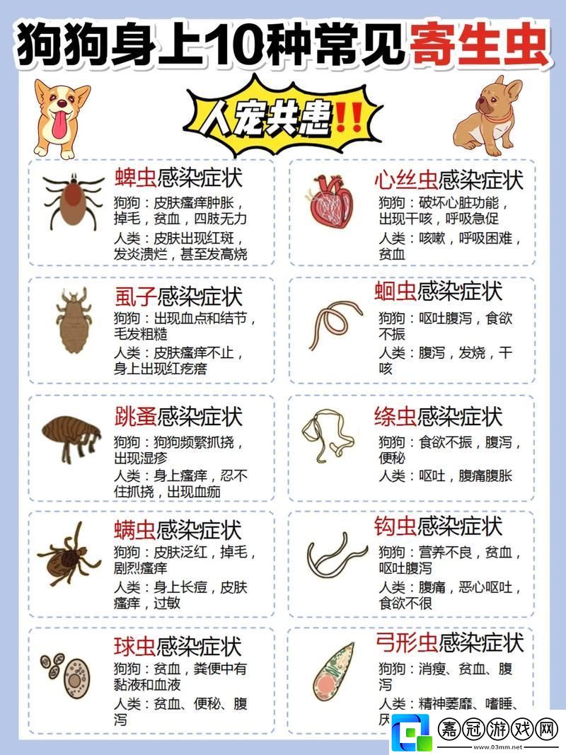 “汪星人的體內迷宮：預防攻略引發坊間熱議”